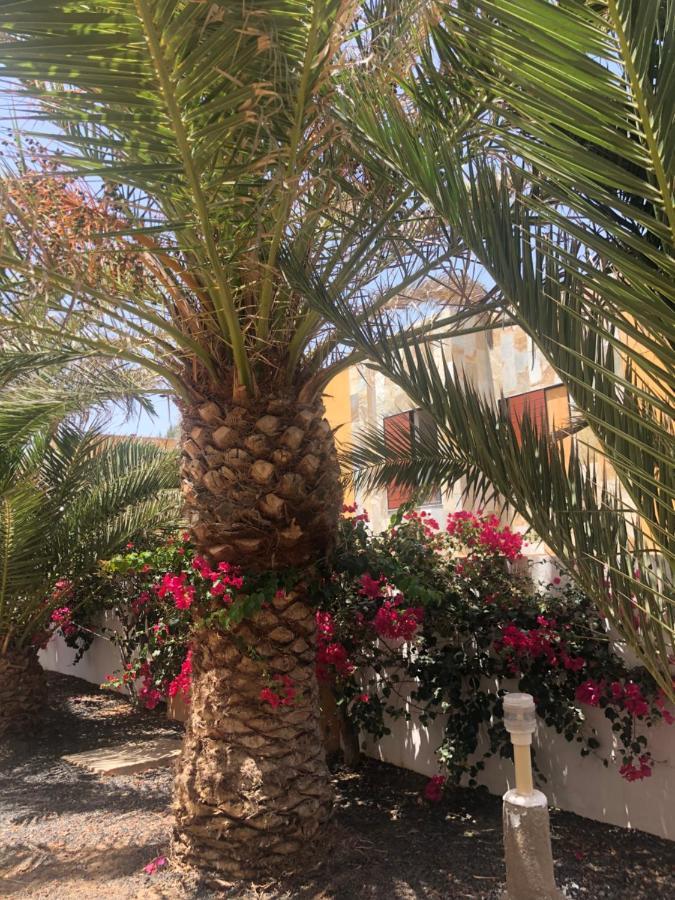 Apartamento Sunny Complex Amaya Fuerteventura Costa De Antigua Εξωτερικό φωτογραφία